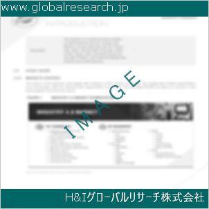 グローバルリサーチ調査資料のイメージ